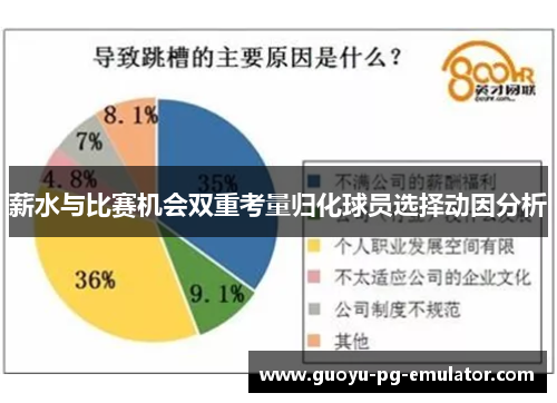 薪水与比赛机会双重考量归化球员选择动因分析 薪水与比赛机会双重考量归化球员选择动因分析