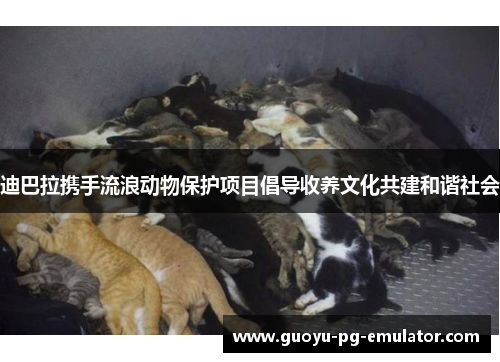 迪巴拉携手流浪动物保护项目倡导收养文化共建和谐社会