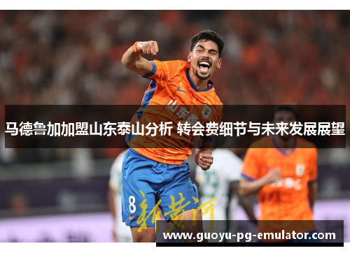 马德鲁加加盟山东泰山分析 转会费细节与未来发展展望